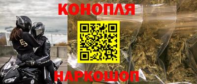 дживик Шебекино