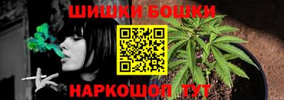 индика Ярославль