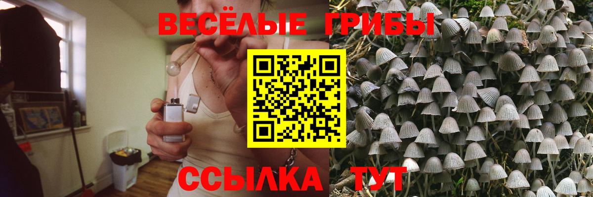 Псилоцибиновые грибы Psilocybe  Вход с VPN  Мурманск 